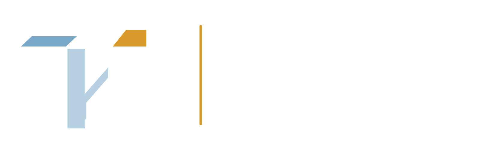 Therapeutic Wellness Blueprint